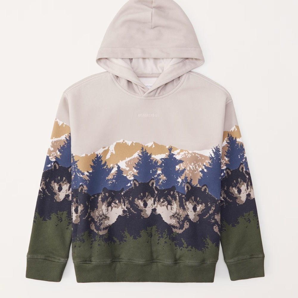 Abercrombie Kids Sweatshirt